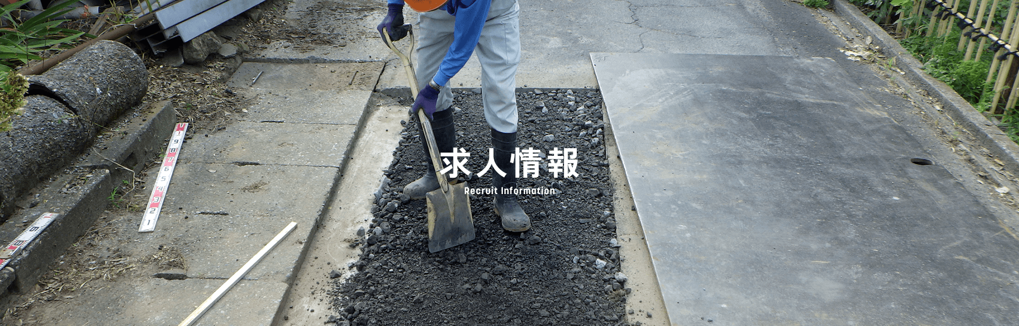 求人情報
